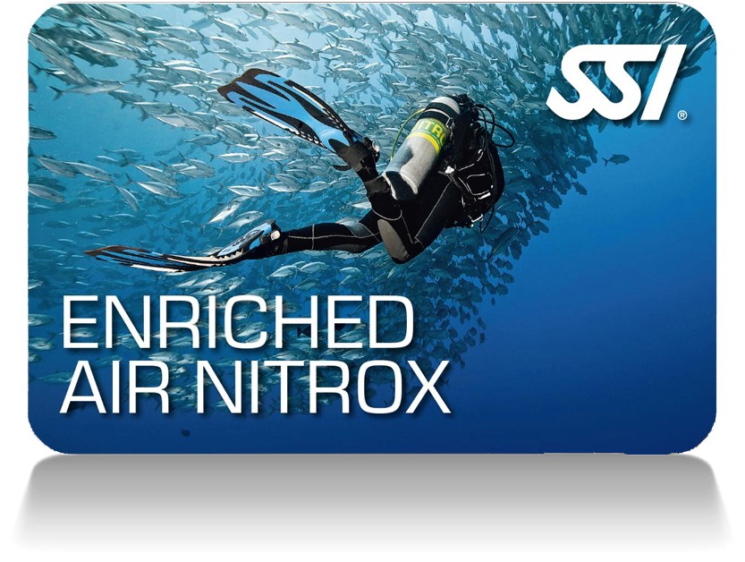  Continuing Education X Ray